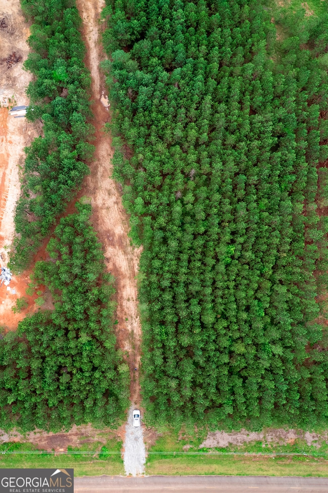 375 Bagley Rd, Forsyth, GA 31029 - photo 7