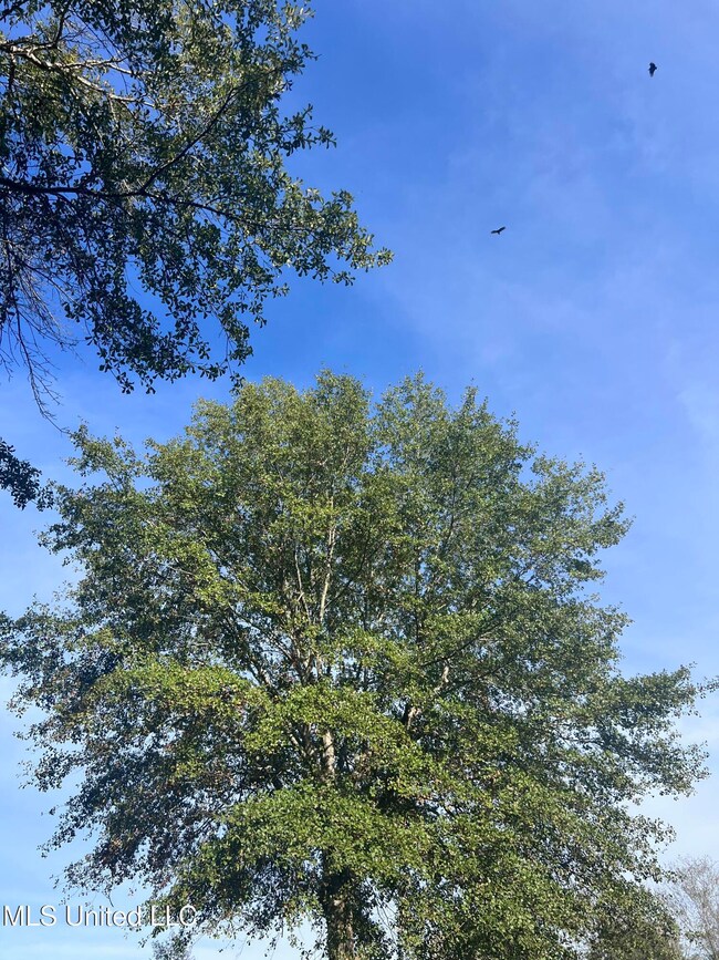 Unassigned Hines Cir, Braxton, MS 39044 - photo 4