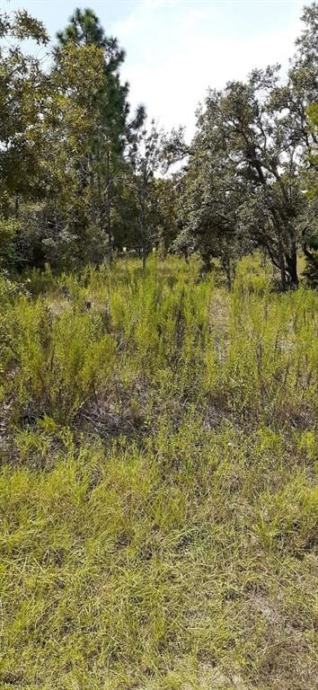 Lot  5 Convent Garden Rd, Weeki Wachee, FL 34613 - photo 6