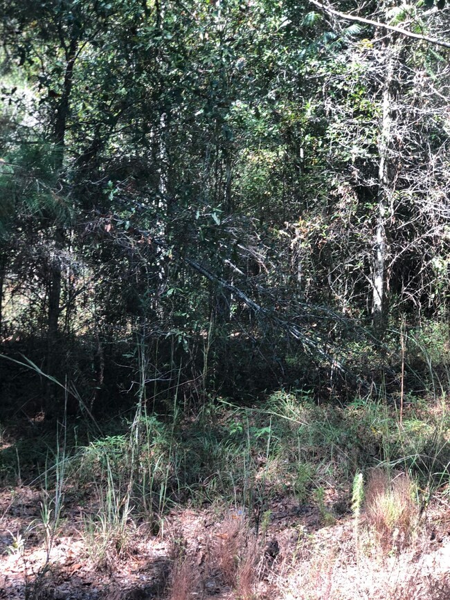 17 Singleton Rd, Tylertown, MS 39667 - photo 5