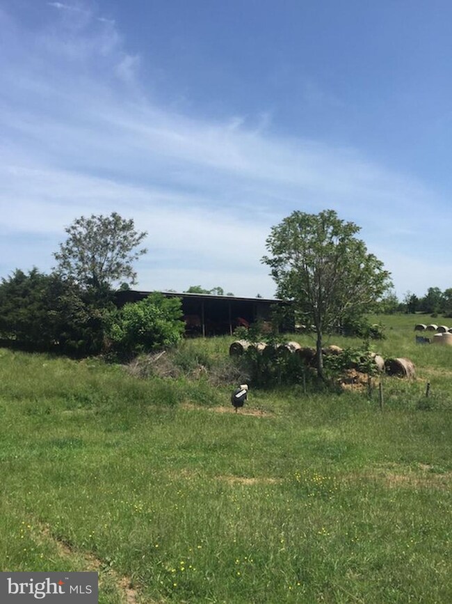 0 Not On File unit 1003289369, Maurertown, VA 22644 - photo 6