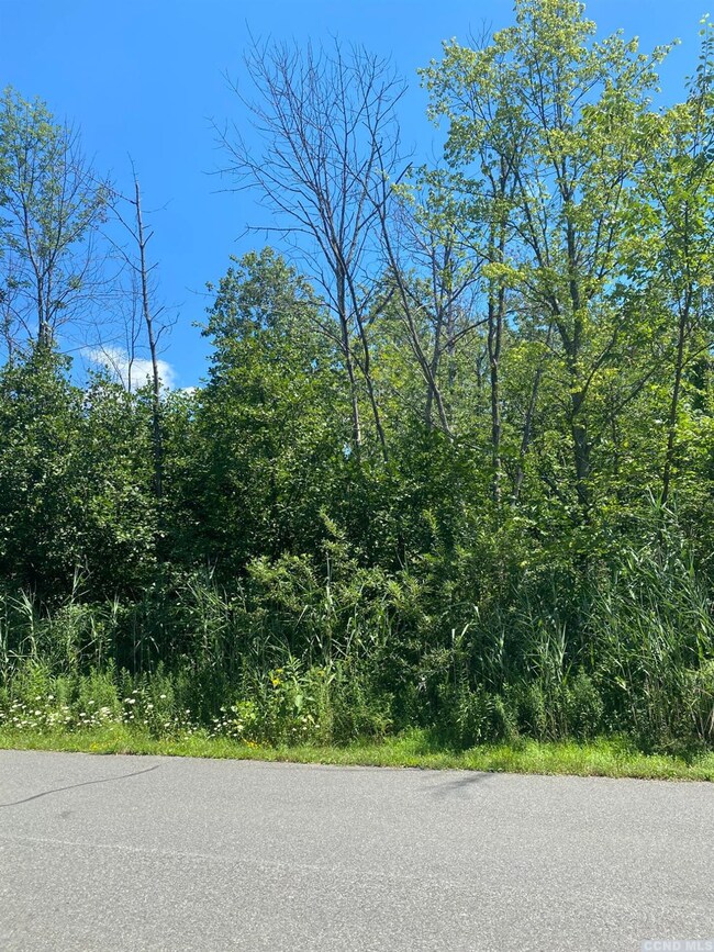 986 Sleepy Hollow Rd, Athens, NY 12015 - photo 3