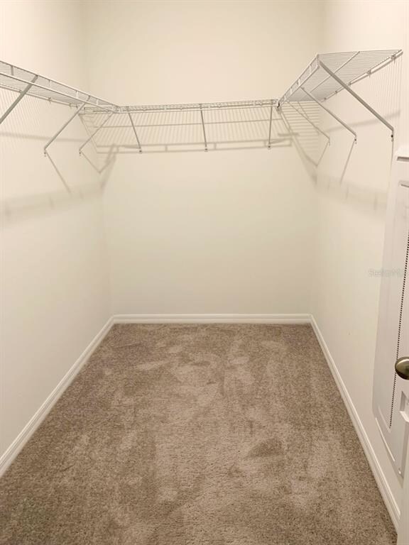 31563 Blue Passing Loop, Wesley Chapel, FL 33545 - photo 7