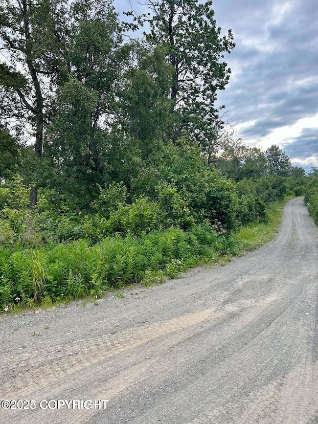 L5 B4 Blockade Glacier Rd, Nikiski, AK 99611 - photo 6