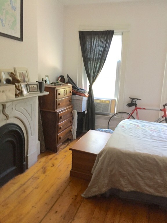 156 W Newton St unit 2, Boston, MA 02118 - photo 6