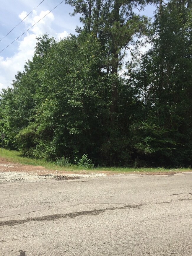 0 King Richards Ct unit 42822552, Hockley, TX 77447 - photo 3