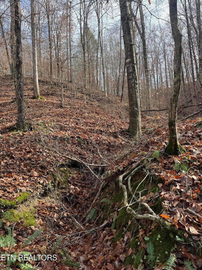 0 Mt Olive unit 1323665, Andersonville, TN 37705 - photo 7