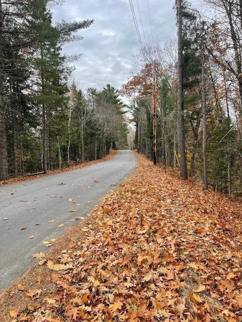 Lot 1 Spring Bridge Rd, Greenbush, ME 04418 - photo 7