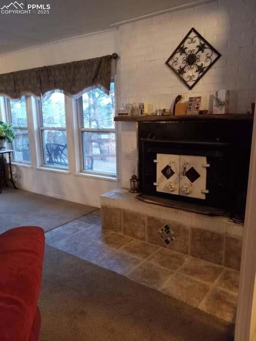 8201 Old San Isabel Rd, Rye, CO 81069 - photo 5