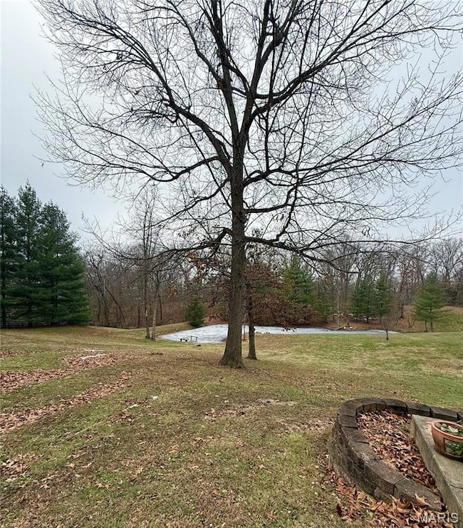 6808 Ivy Ln, Godfrey, IL 62035 - photo 2