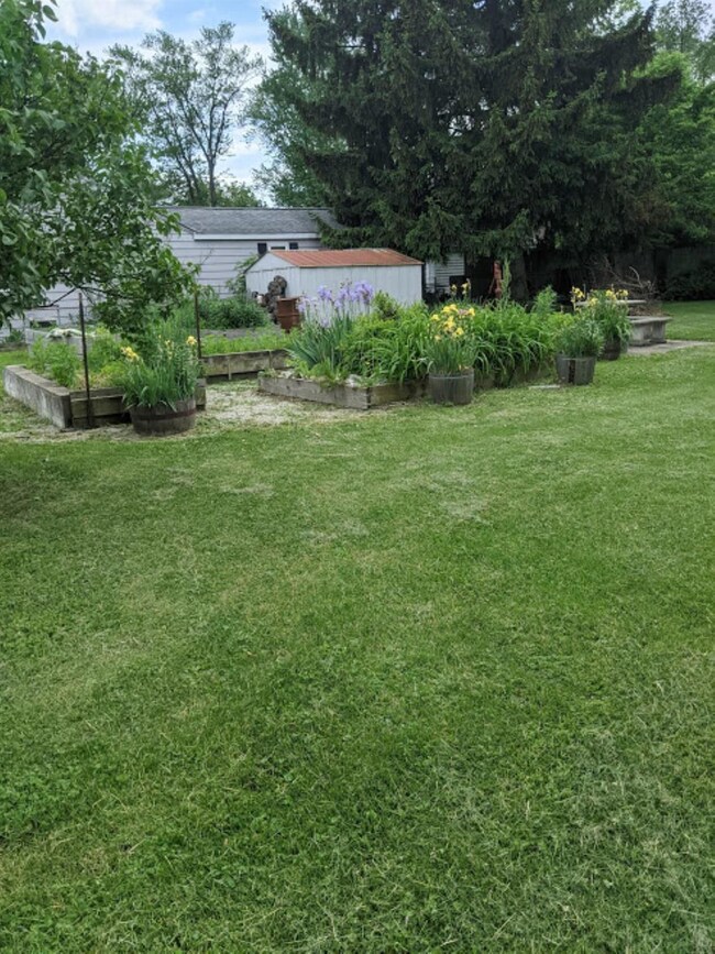 817 Lewis St, Kokomo, IN 46901 - photo 5