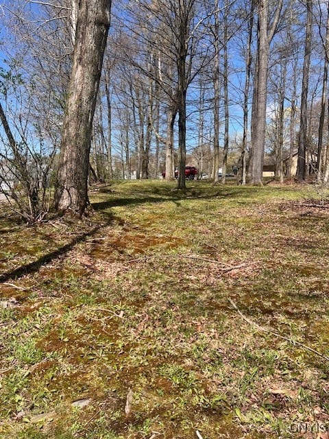 3282 Walden Oaks Blvd, Munsons Corners, NY 13045 - photo 2