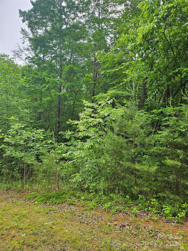 00 Brookside Pkwy unit 24, Lake Lure, NC 28746 - photo 6