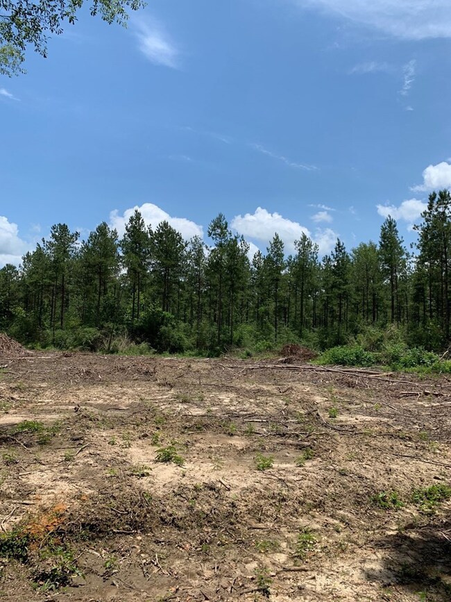 000 Dinan Salem Rd, Tylertown, MS 39667 - photo 4