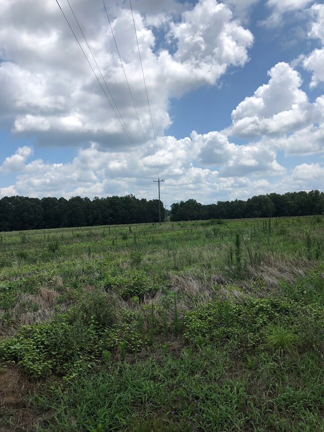 000 Hilton Memory Rd, Vidalia, GA 30474 - photo 2