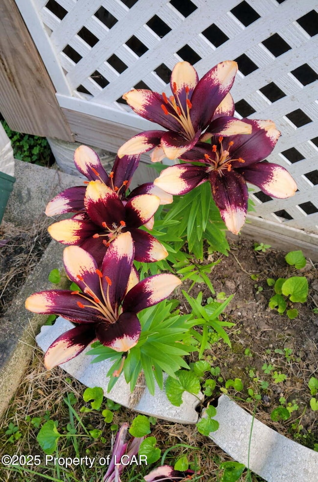 98 Marlborough Ave, Wilkes-Barre, PA 18702 - photo 7