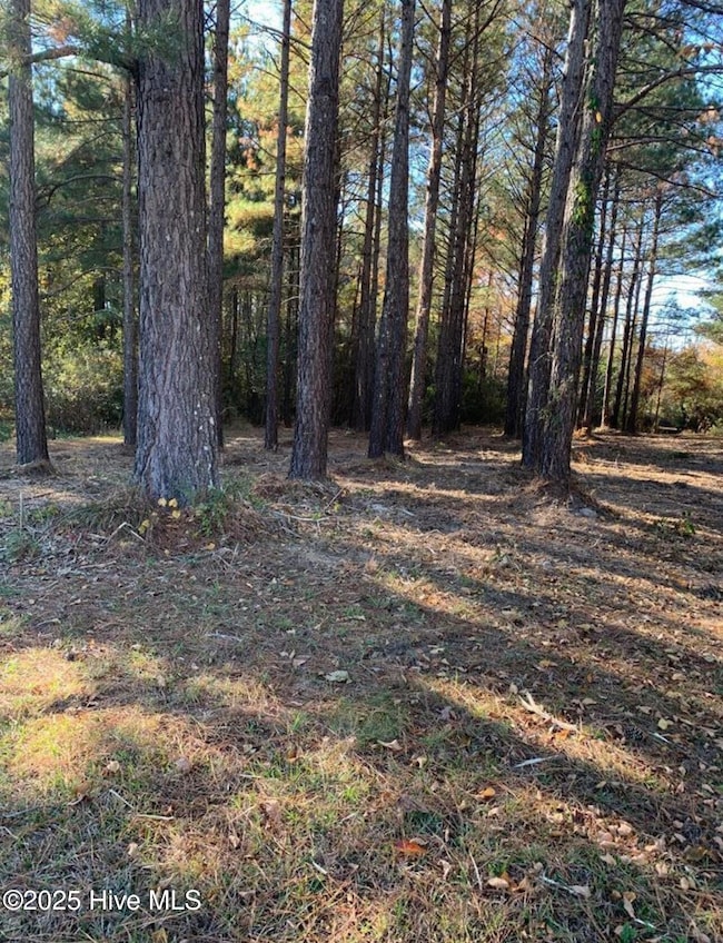 220 Colleton Ct, Edenton, NC 27932 - photo 3