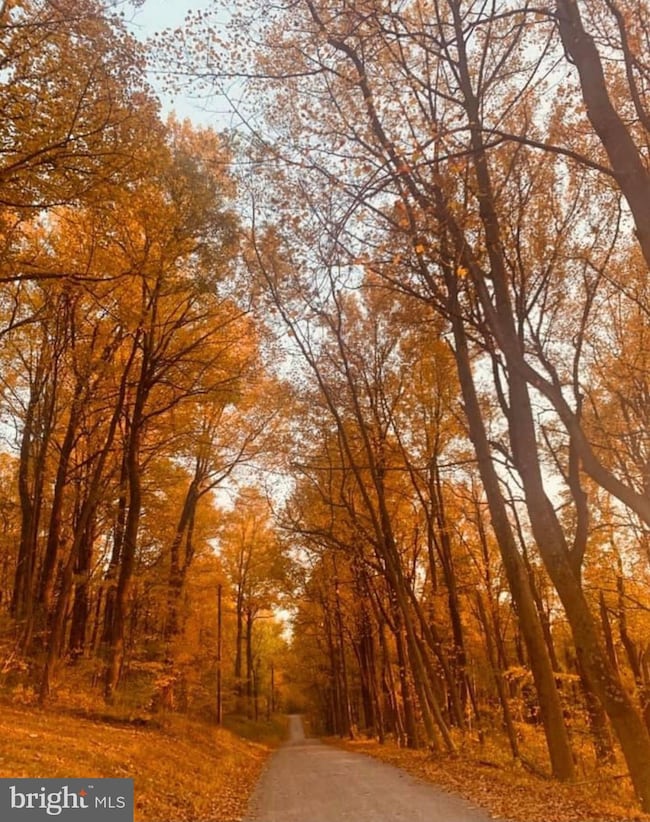 712 Reid Dr, Front Royal, VA 22630 - photo 3