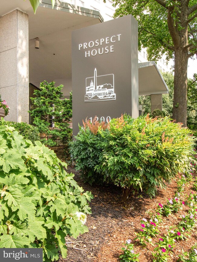 Prospect House unit 263, Arlington, VA 22209 - photo 2