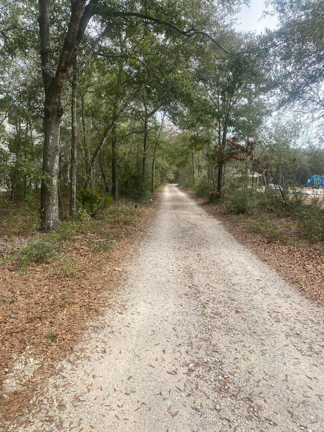 68+Acres Patriot Ln, Crestview, FL 32539 - photo 4