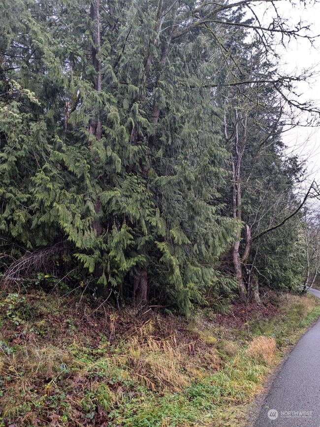 0 West Rd, Sedro Woolley, WA 98284 - photo 5