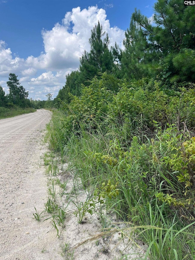 BFF 1A J C Barefoot Rd unit BFF 1A, Patrick, SC 29584 - photo 2