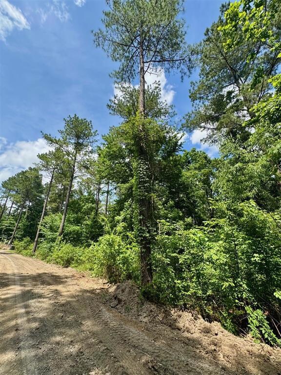 125 Pawpaw Trail, Broken Bow, OK 74728 - photo 7