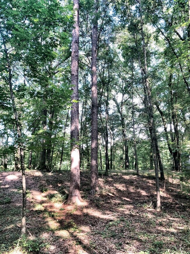 112 Rivermist, Macon, GA 31210 - photo 5