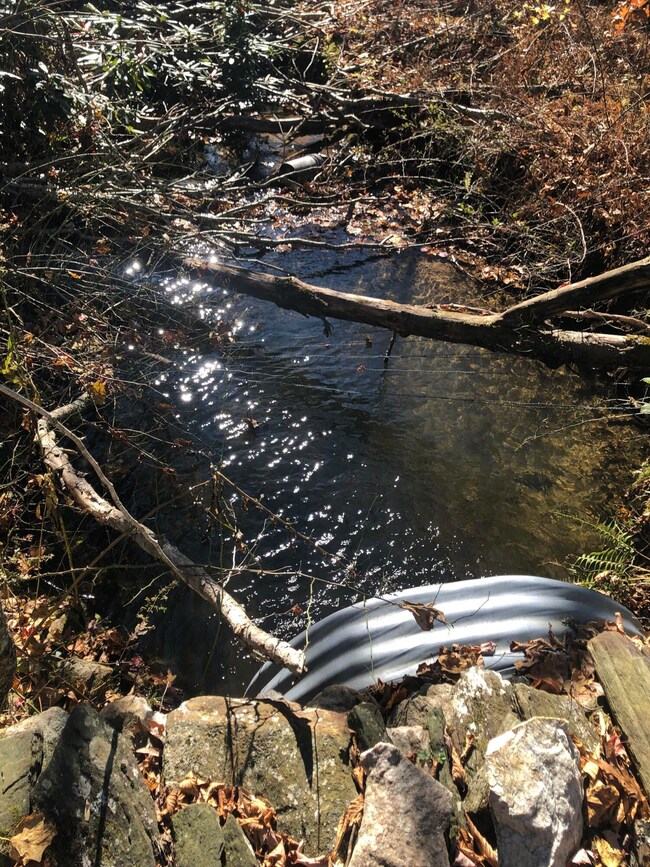 creek as you enter