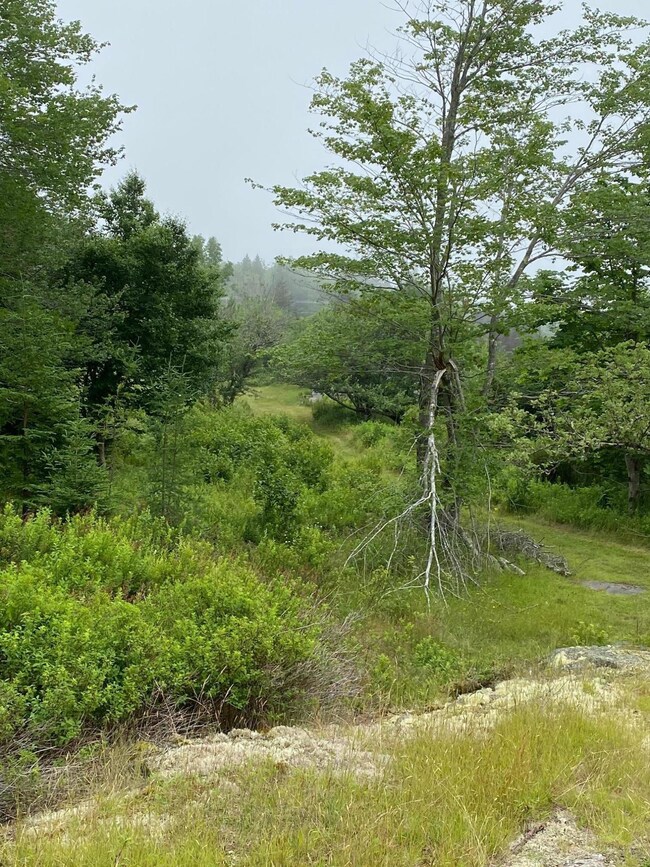 Webster Ln