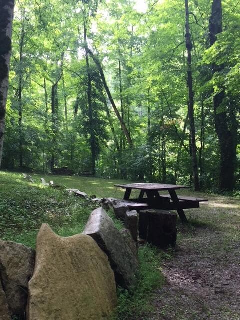 Picnic by Boone Creek
