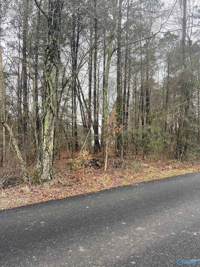 .3+/- Acres Bridge Point Rd, Southside, AL 35907 - photo 2