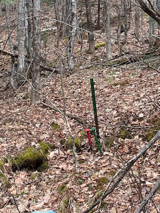 22-3 Morrill Cir, Campton, NH 03223 - photo 3