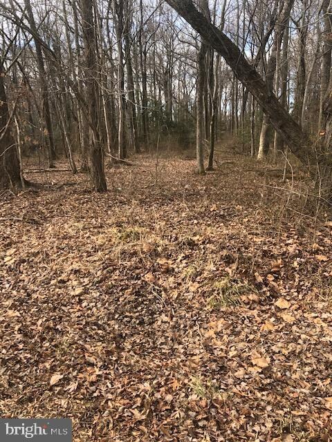 0 Bengies Rd unit MDBC2027500, Middle River, MD 21220 - photo 4