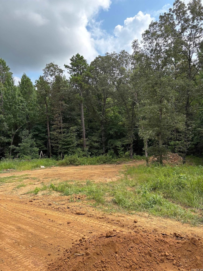 504 County Road 7740, Paragould, AR 72450 - photo 4