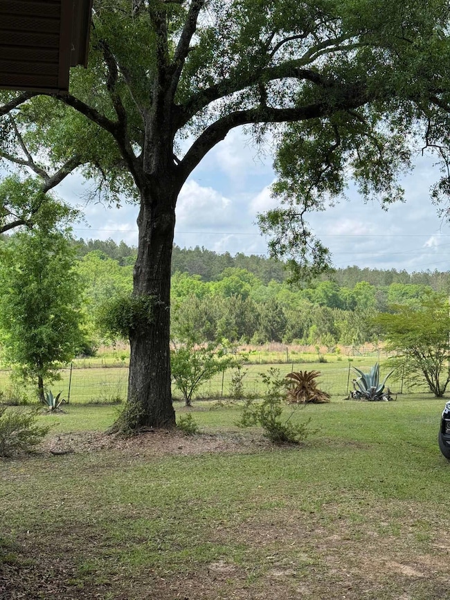 Look at that country side.
