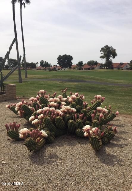 14125 W Pennystone Dr, Sun City West, AZ 85375 - photo 2