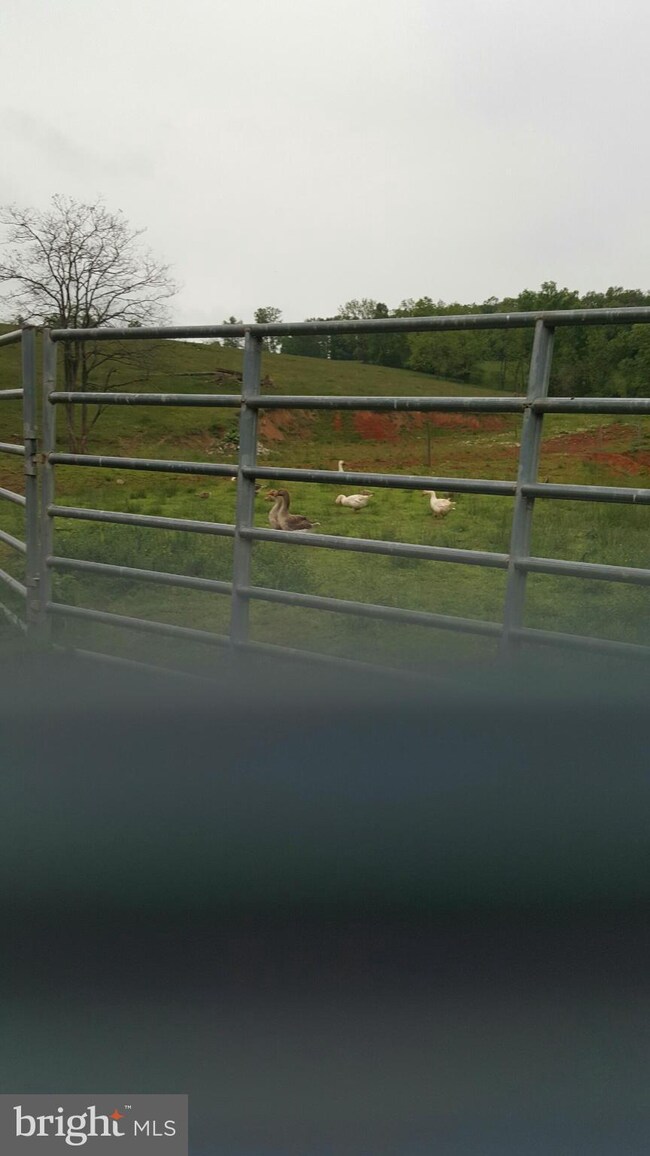 unlisted-address, Edinburg, VA 22824 - photo 3