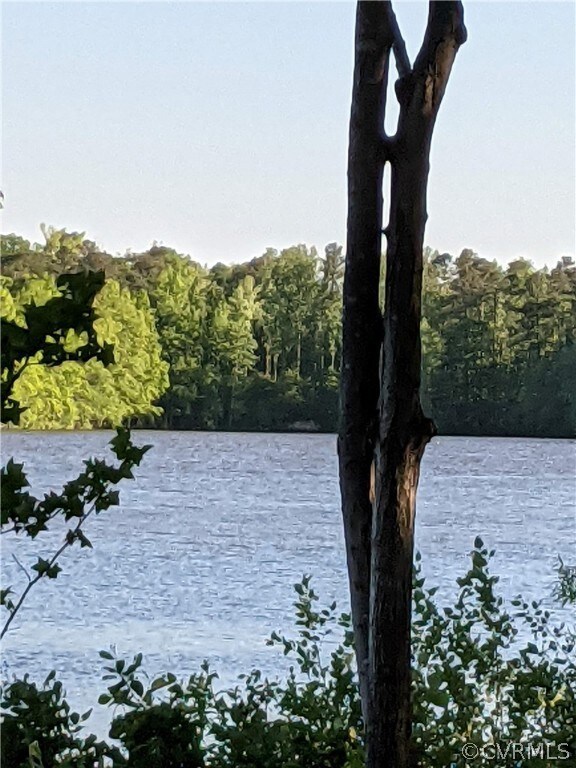 15451 Genito Rd, Chesterfield, VA 23112 - photo 7