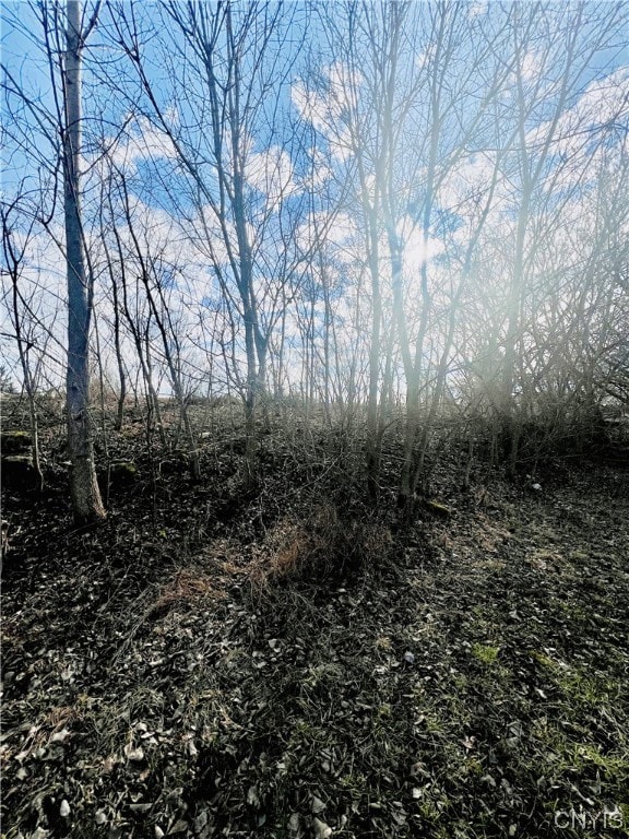 0 Will New Blvd unit S1521106, Canastota, NY 13032 - photo 7