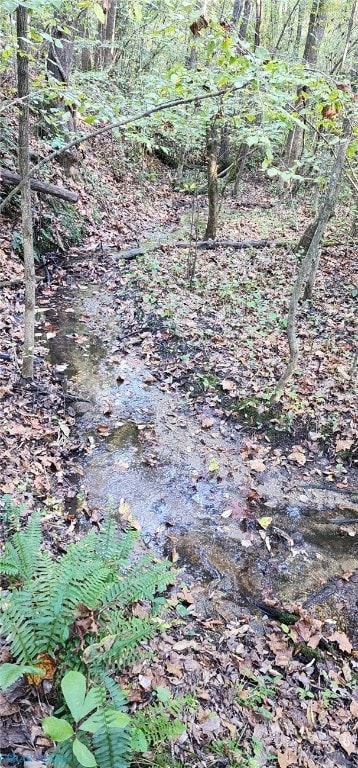 00 Plainview Dr, Saluda, VA 23149 - photo 2