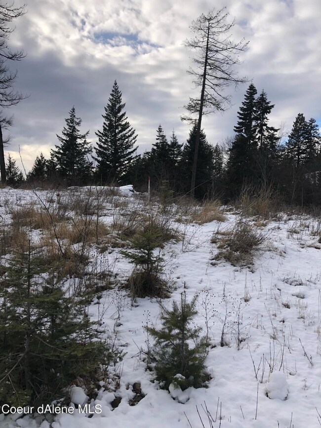 NNA F8&F9 S Idaho Club Dr, Sandpoint, ID 83864 - photo 5