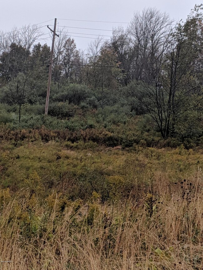 MVIMG_20191007_152620