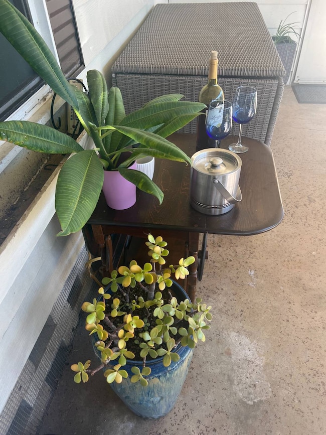 5700 Bayshore Rd unit 818, Palmetto, FL 34221 - photo 6