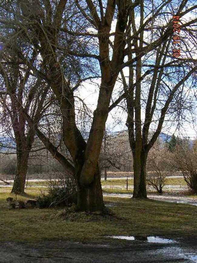 2238 Sand Canyon Rd, Chewelah, WA 99109 - photo 7