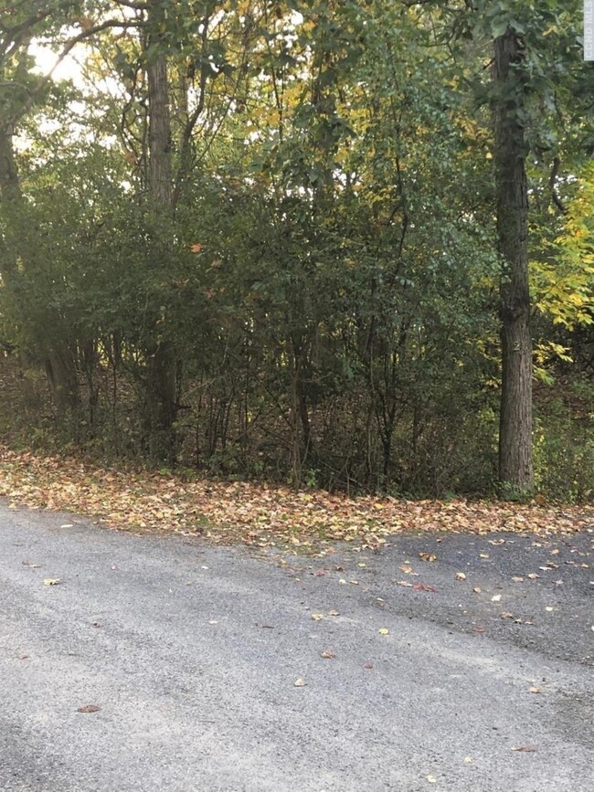 75 - RR Market Ln, Coxsackie, NY 12051 - photo 3