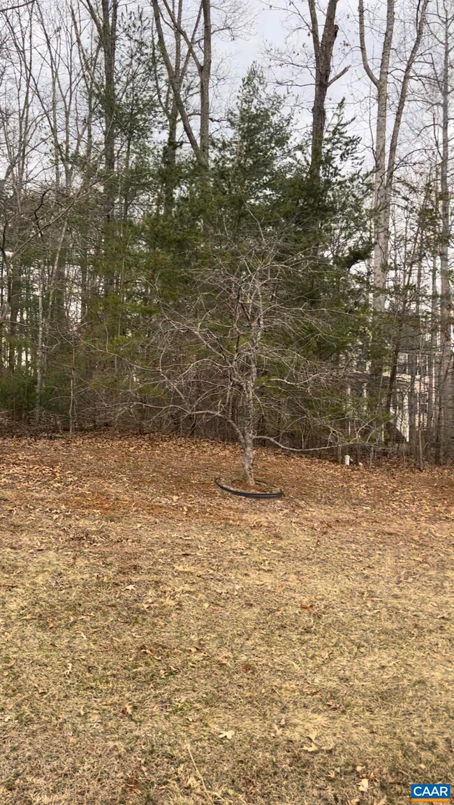 0 Lake Dr unit 627261, Ruckersville, VA 22968 - photo 7