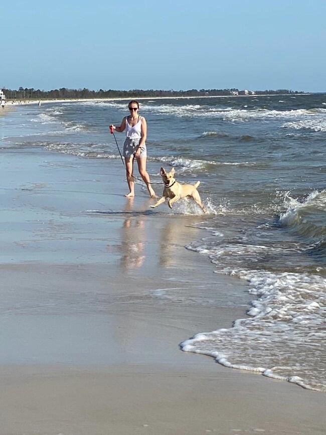 Pet friendly beach
