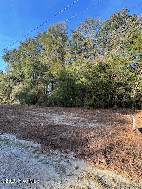 0 Garland Hwy unit 100544855, Garland, NC 28441 - photo 4