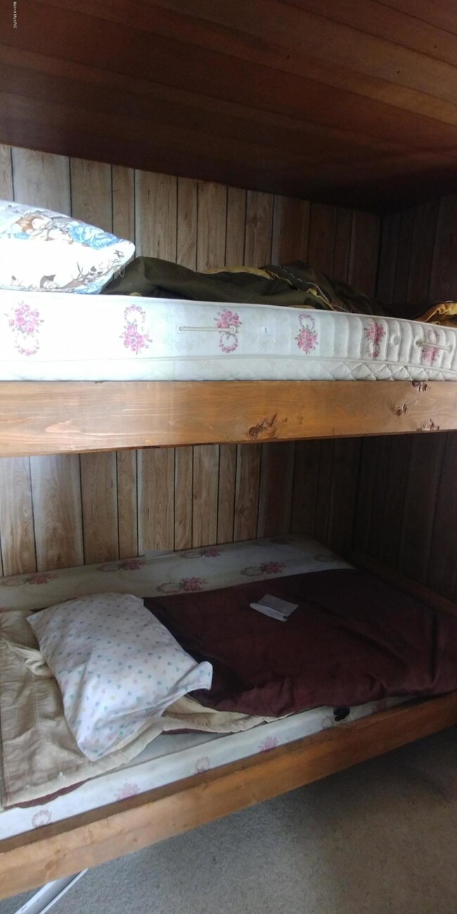 3407 W 8th St, Baldwin, MI 49304 - photo 6